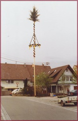 maibaum 10 20150713 1188729786