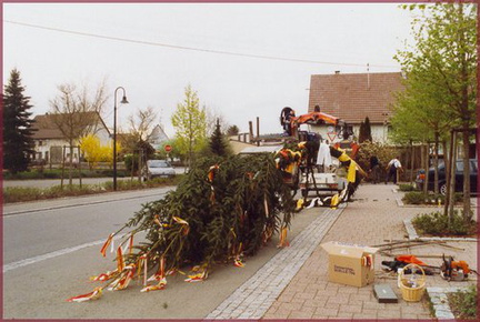 maibaum 5 20150713 1372442813