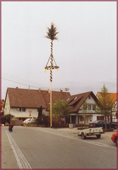 maibaum 9 20150713 1283667174