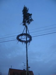 maibaum 10 20150903 1002684789