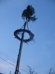 maibaum 11 20150903 1846155565