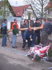 maibaum 1 20150903 1529340943