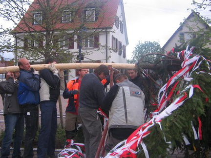 maibaum 2 20150903 1503685474