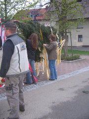 maibaum 3 20150903 1464970044
