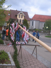 maibaum 4 20150903 1066228448