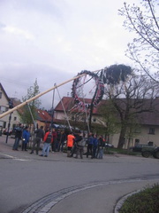 maibaum 7 20150903 1787850545