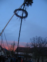 maibaum 9 20150903 1331081205