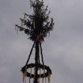 maibaum 12 20150903 1887066382