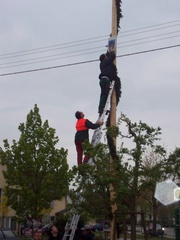 maibaum 14 20150903 1635901831