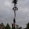 maibaum 15 20150903 1467229512