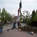 maibaum 16 20150903 1229881250