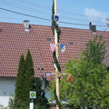 maibaum 20 20150903 1524109570