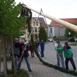 maibaum 92