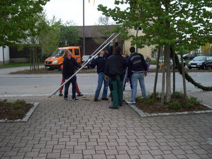 maibaum 5 20150903 1834522378