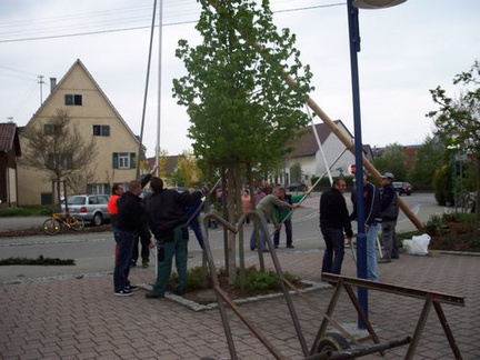 maibaum 7 20150903 1482422386