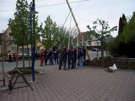 maibaum 8 20150903 1800130937