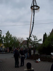 maibaum 9 20150903 1887217296