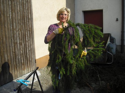 maibaum 12 20150903 1464432115