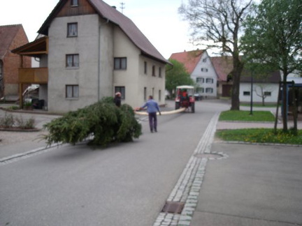 maibaum 33 20150903 1581617224