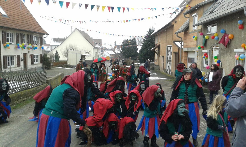 fasnet 2015 29 20151103 1022276416