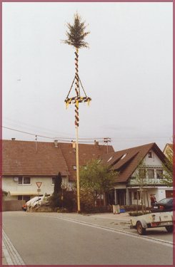 maibaum_10_20150713_1188729786.jpg