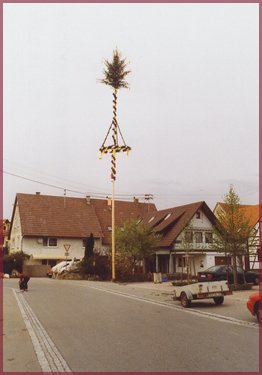 maibaum 9 20150713 1283667174