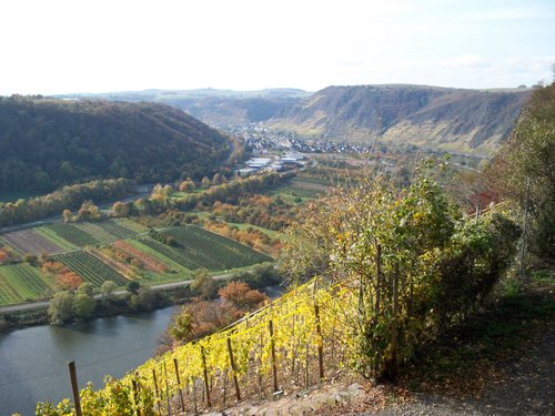 ausflug_44_20150903_1937043654.jpg