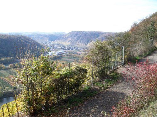 ausflug_46_20150903_1514704759.jpg