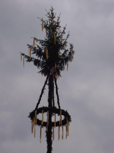 maibaum 12 20150903 1887066382