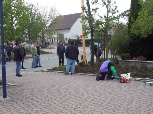 maibaum 13 20150903 1978316758