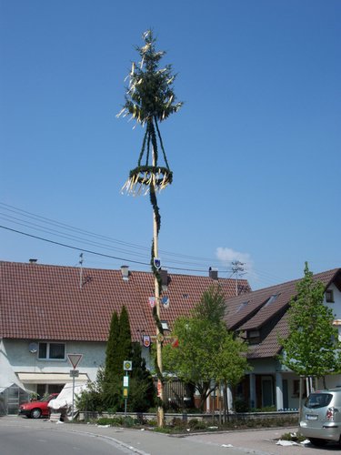 maibaum 18 20150903 1620643436