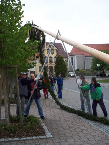 maibaum 2 20150903 1559097371