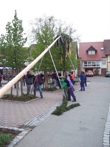 maibaum 3 20150903 1605519139