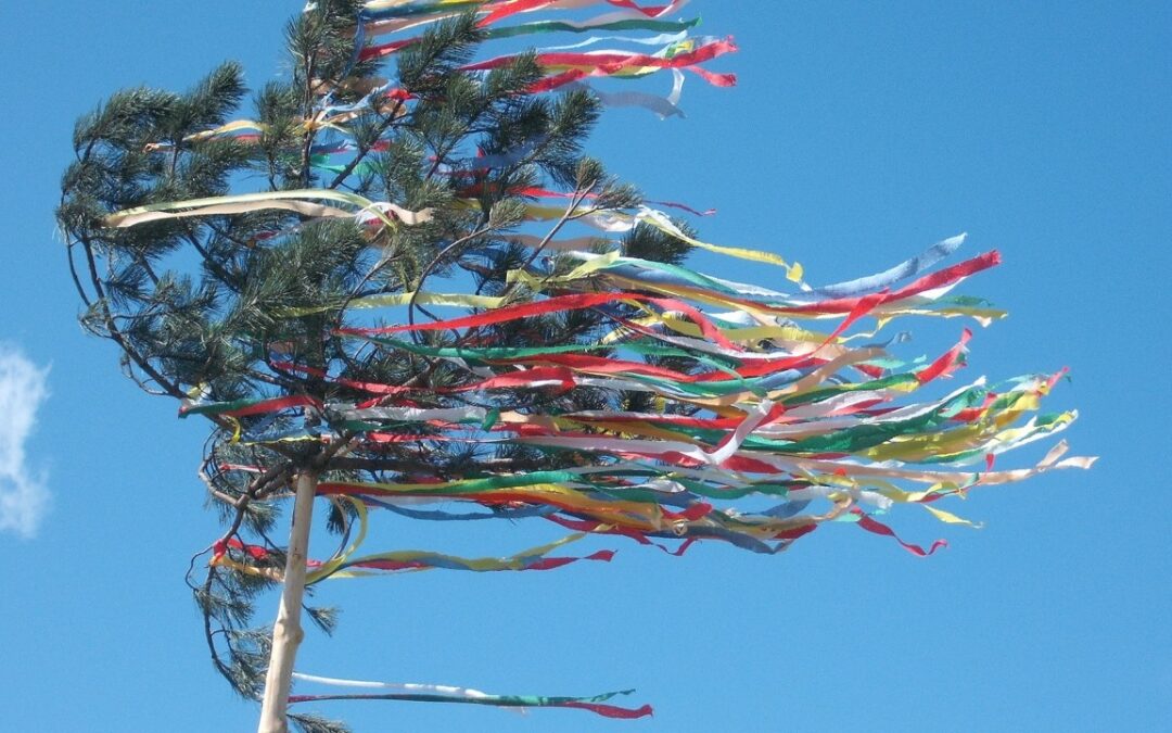Maibaum Stellen